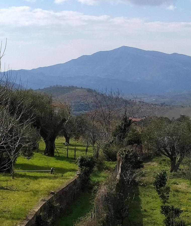 Villa Azienda Agricola Cafaro Grazia - Cilens Aurea Vallo della Lucania Exterior foto